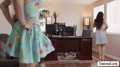 play Lulu Chu și Ariel Demure într -o pasiune de dragoste shemale